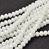 Faceted Rondelle Glass Beads Strands X-GLAA-I033-6mm-11-1