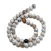 Natural Dendritic Opal Beads Strands G-R494-A16-03-2