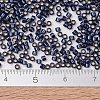 MIYUKI Delica Beads X-SEED-J020-DB2191-4