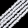 Opaque Glass Beads Strands GLAA-N019-3mm-02-2