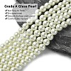 Eco-Friendly  Dyed Glass Pearl Round Beads Strands HY-A002-8mm-RB011-3