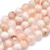 Natural Cherry Blossom Agate Beads Strands X-G-I213-23-6mm-1