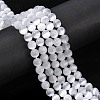 Natural Selenite Beads Strands LS-G-N328-025B-02-5
