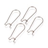 Tarnish Resistant 304 Stainless Steel Hoop Earrings Findings Kidney Ear Wires LS-STAS-L216-22B-P-1