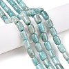 Natural Amazonite Beads Strands G-G980-36A-2