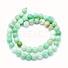 Natural Chrysoprase Beads Strands G-O166-03-10mm-2