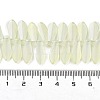 Electroplate Glass Beads Strands X-EGLA-C005-01A-FR02-4
