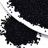 FGB 11/0 Grade A Glass Seed Beads SEED-S030-0049F-1