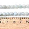 Natural Larimar Beads Strands G-B156-A01-6mm-01-3