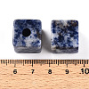 Natural Blue Spot Jasper European Beads G-N345-07A-05-3