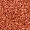 MIYUKI Round Rocailles Beads SEED-X0056-RR0424-2