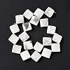 Natural Howlite Beads Strands G-L239-14-4