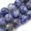 Natural Brazil Blue Spot Jasper Beads Strands G-S259-36-10mm-1