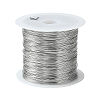 Non-Tarnish 316 Surgical Stainless Steel Wire TWIR-L004-01E-P-1