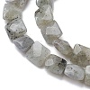 Natural Labradorite Beads Strands G-K359-B17-01-4