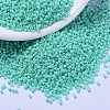 MIYUKI Delica Beads SEED-J020-DB2122-1