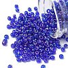 TOHO 6/0 Round Beads X-SEED-TR06-0087-1