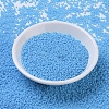 MIYUKI Round Rocailles Beads SEED-G007-RR0413-2
