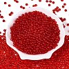 FGB Transparent Glass Seed Beads SEED-N013-01A-09-2