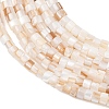 Natural Freshwater Shell Beads Strands SHEL-K006-72A-3