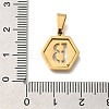 304 Stainless Steel Charms LS-STAS-H227-01G-B-3