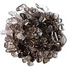 Natural  Smoky Quartz Tumbled Chips PW-WGA7DCE-22-1
