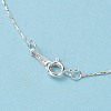 Silver Color Plated Brass Chain Necklaces for Women X-NJEW-D077-S-2