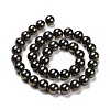 Shell Pearl Bead Strands BSHE-L025-05-8mm-5