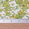MIYUKI Delica Beads X-SEED-J020-DB0983-4