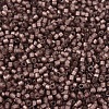 MIYUKI Delica Beads X-SEED-J020-DB2183-3