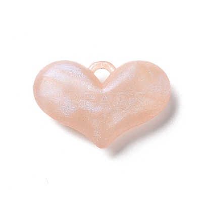 Luminous Acrylic Pendants OACR-E010-27E-1