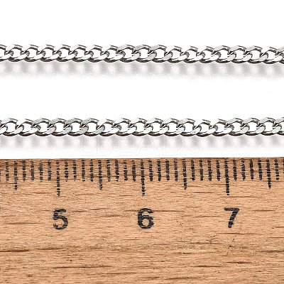 Non-Tarnish 304 Stainless Steel Curb Chain Necklaces NJEW-L162-01B-P-1