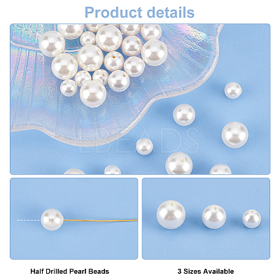30Pcs 3 Sizes Shell Pearl Beads BSHE-PH0001-21-1