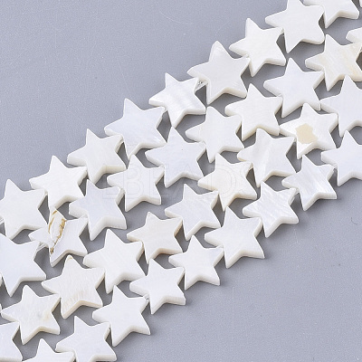 Freshwater Shell Beads Strands X-SHEL-T014-009G-1
