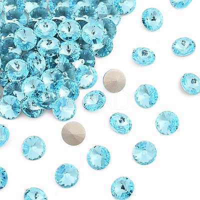 Preciosa&reg MAXIMA Crystal Round Stones X-PRC-RASS39-60010-1