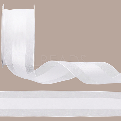 Polyester Ribbon OCOR-WH20013-005B-1