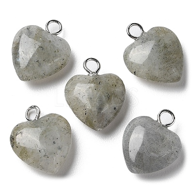 Natural Labradorite Pendants G-E603-01P-08-1