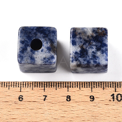 Natural Blue Spot Jasper European Beads G-N345-07A-05-1
