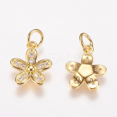 Brass Micro Pave Cubic Zirconia Charms ZIRC-E146-12G-1