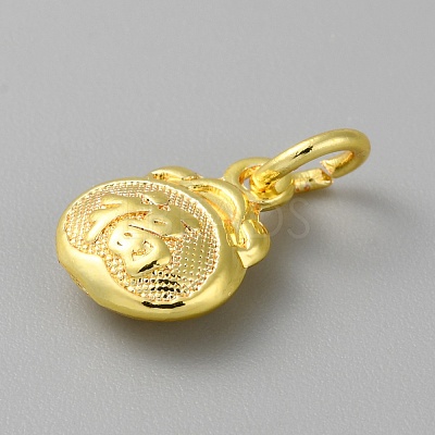 Alloy Pendants with Chinese Characters FIND-WH0159-63G-02-1
