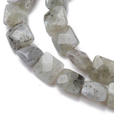 Natural Labradorite Beads Strands G-K359-B17-01-1