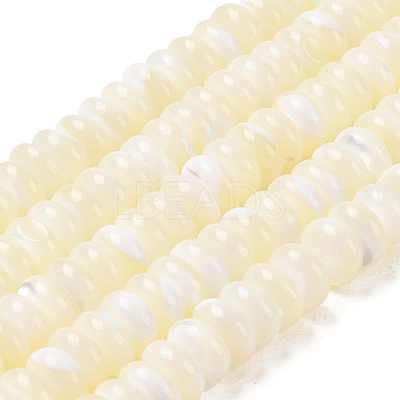 Natural Trochus Shell Beads Strands SHEL-P017-06-1