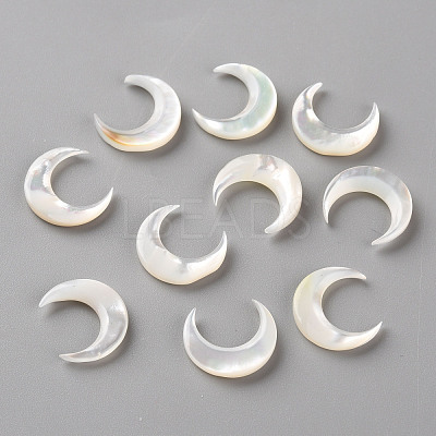 Natural White Shell Beads SSHEL-Q311-004B-01-1
