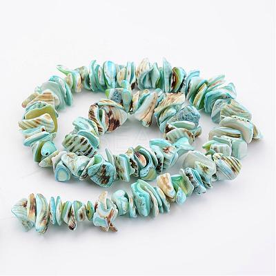 Natural Shell Bead Strands BSHE-P010-04-1