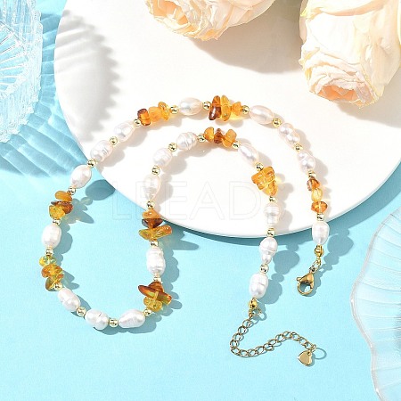 Natural Amber Chip & Rice Cultured Freshwater Pearl Beaded Necklaces for Women NJEW-JN06665-02-1