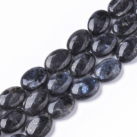 Natural Larvikite Beads Strands G-S359-001-1