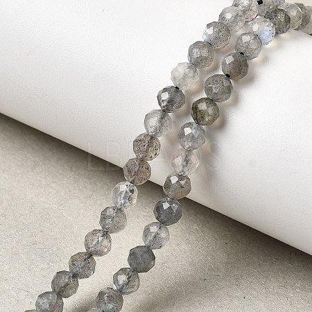 Natural Labradorite Beads Strands G-H336-A08-05-1