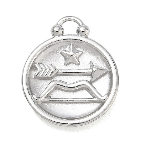 12 Constellations 304 Stainless Steel Pendants STAS-F354-01P-09-1