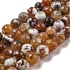 Faceted Natural Fire Crackle Agate Beads Strands G-F447-12mm-N10-2