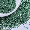 MIYUKI Delica Beads SEED-MY11-DB0426-1